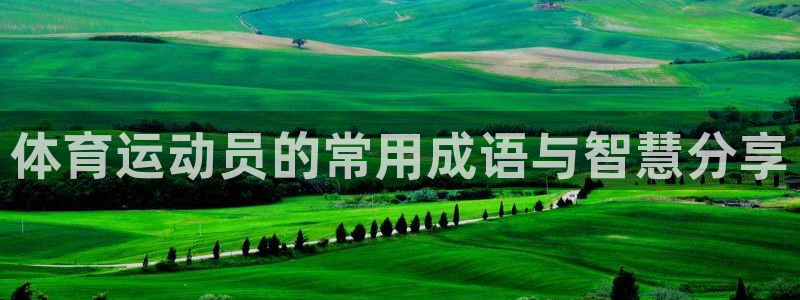 必一运动app：体育运动员的常用成语与智慧分享