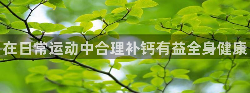 bsport必一运动：在日常运动中合理补钙有益全身健康