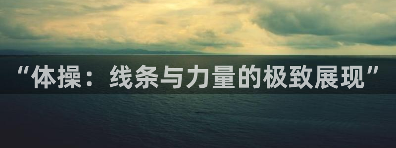 bsport必一运动：“体操：线条与力量的极致展现”