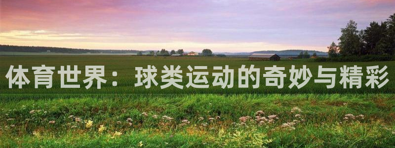 必一运动体育官网入口：体育世界：球类运动的奇妙与精彩