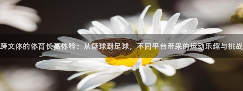 必一运动官网入口