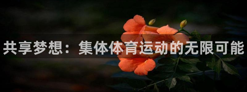 必一运动体育官网