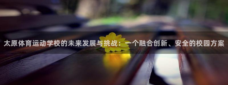 必一运动：太原体育运动学校的未来发展与挑战：一个融合创新、安全的校园方案