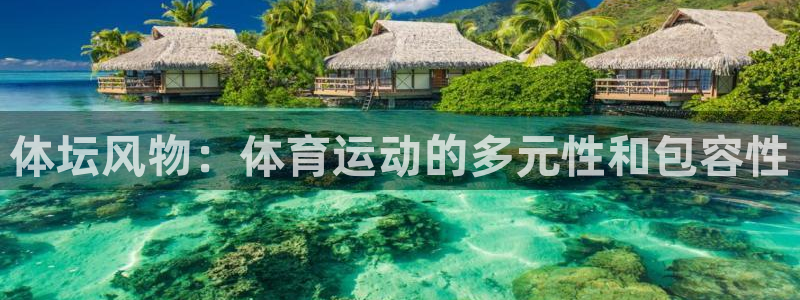 必一运动bsport体育
