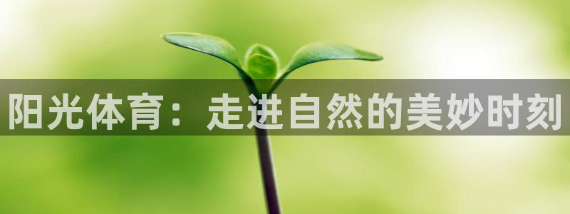 b体育必一运动官网：阳光体育：走进自然的美妙时刻