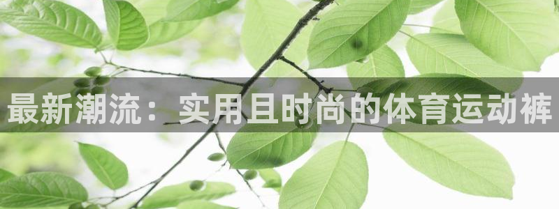 b体育必一运动官网：最新潮流：实用且时尚的体育运动裤
