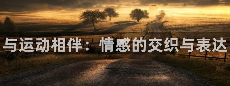 必一运动app：与运动相伴：情感的交织与表达